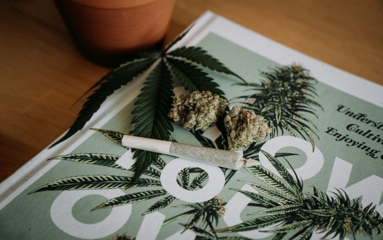 cannabis tolerance